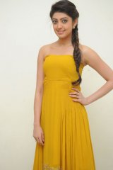 Pranitha at Alludu Seenu Audio Launch